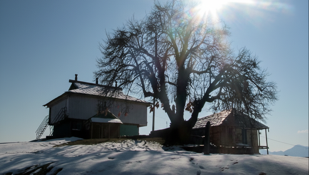 gemini generated image 7ypctn7ypctn7ypc